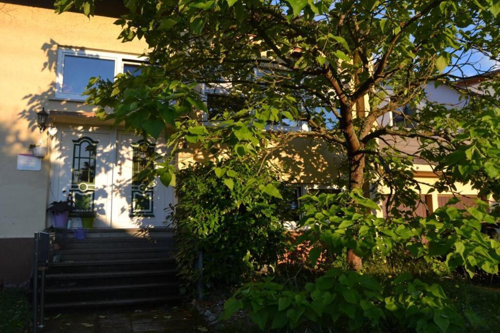 Maison Madlene Frickenhausen  Bagian luar foto